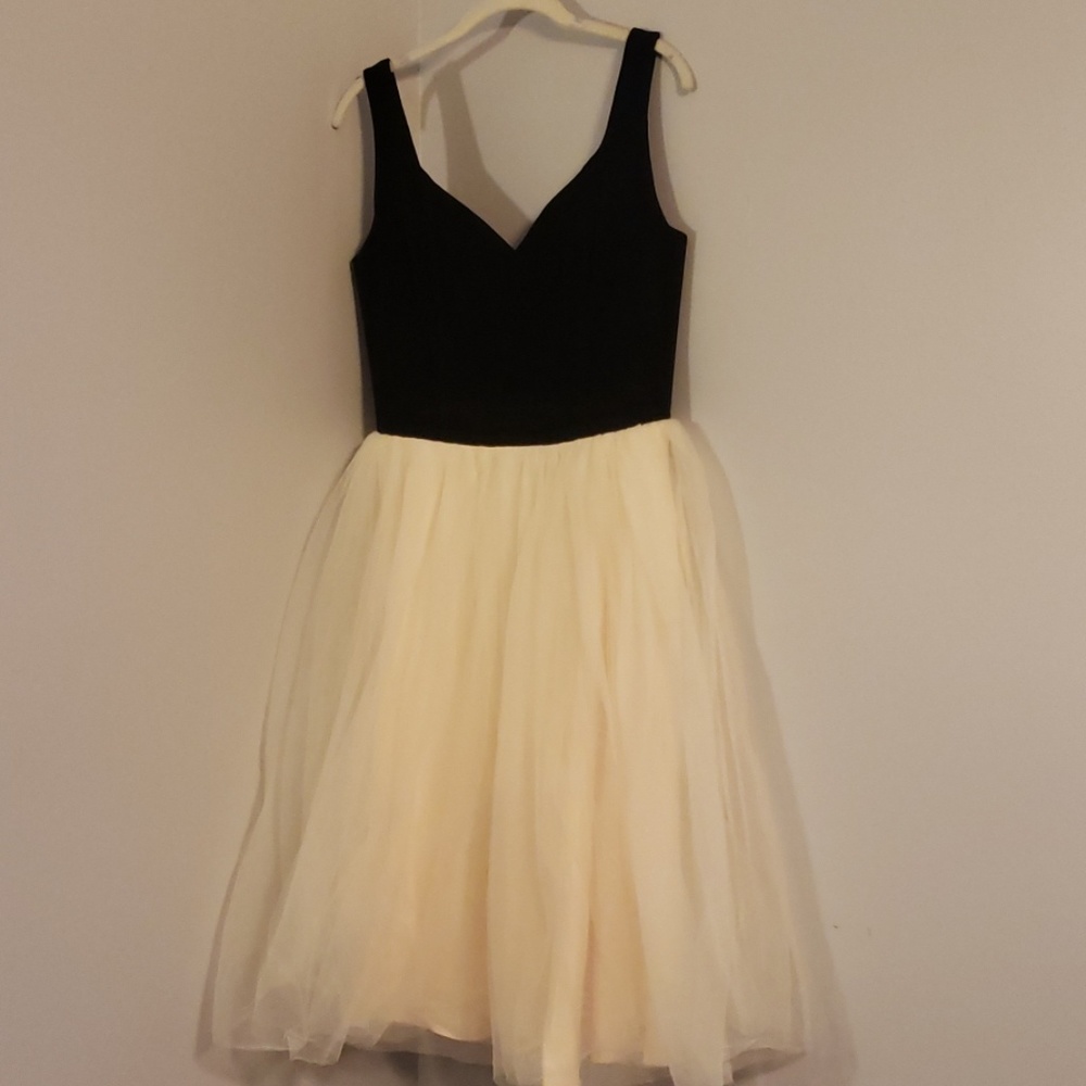 Beautiful velvet and tulle